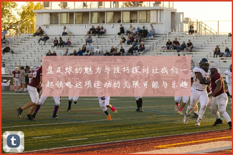 盘足球的魅力与技巧探讨让我们一起领略这项运动的无限可能与乐趣