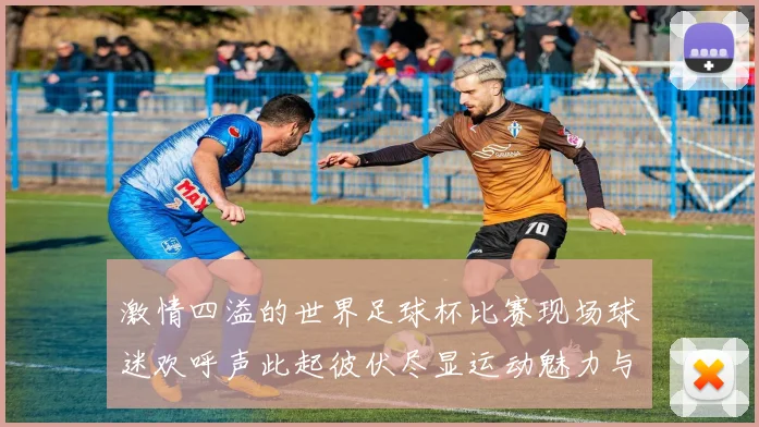 激情四溢的世界足球杯比赛现场球迷欢呼声此起彼伏尽显运动魅力与团结精神