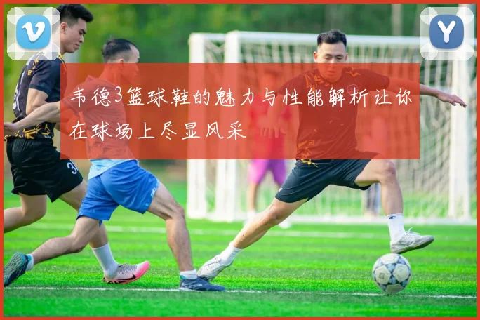 韦德3篮球鞋的魅力与性能解析让你在球场上尽显风采