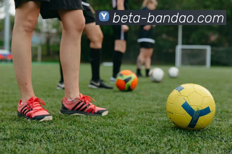 BANDAO SPORTS发展历程