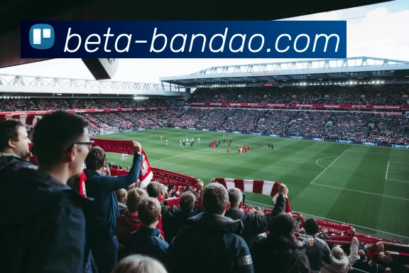 BANDAO SPORTSAPP 封面图